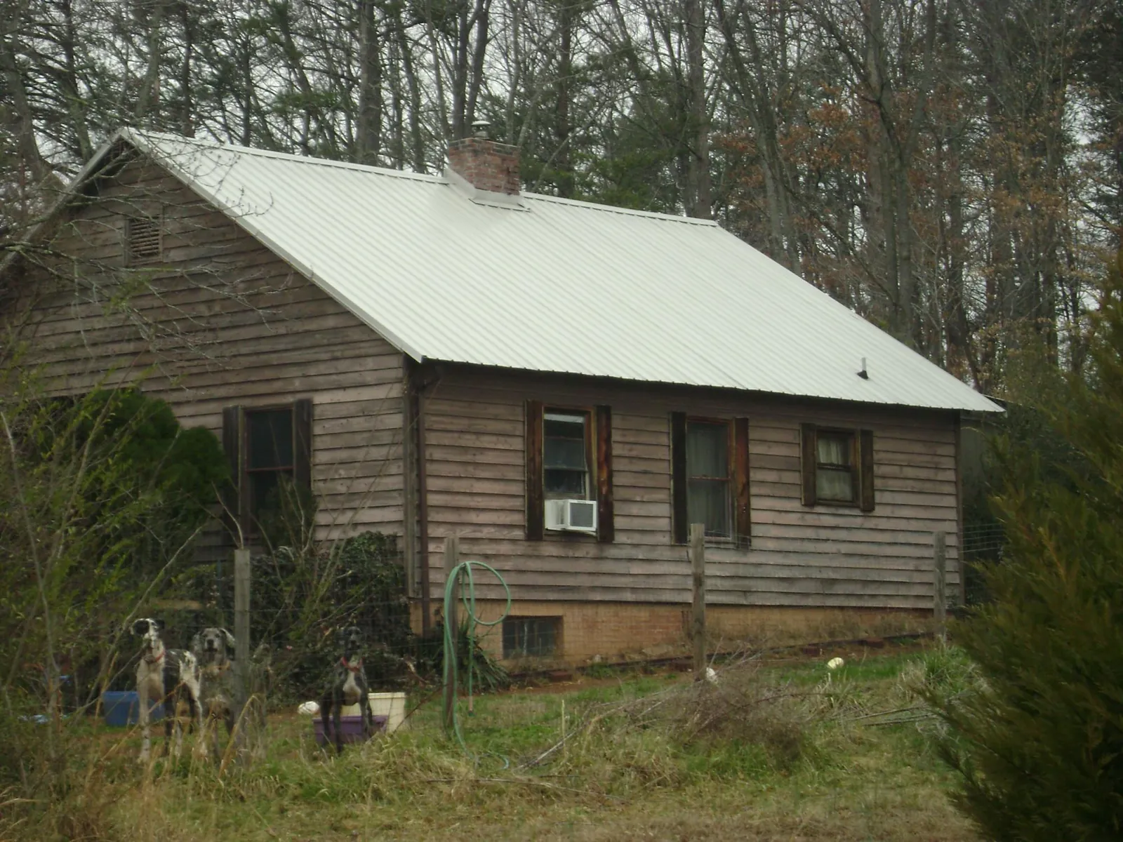 White metal roof on an old wood sided farmhouse, from a Asphalt Shingle Roof Repair job in Wonder Lake